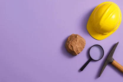 Previous Article Image