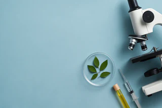Bio-Gene Clarifies Timing of Flavocide Results Amid ASX Inquiry