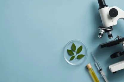 Previous Article Image