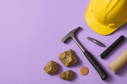 Previous Article Image