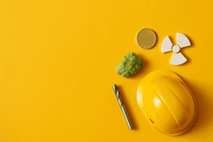 Previous Article Image