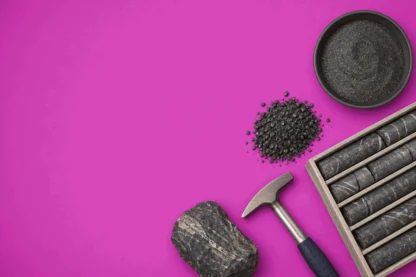 Previous Article Image