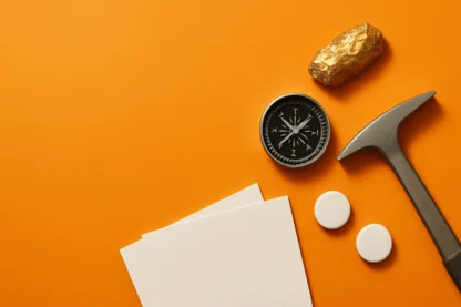 Previous Article Image