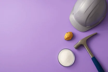 Previous Article Image