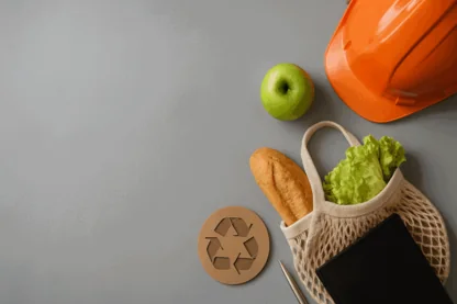 Previous Article Image