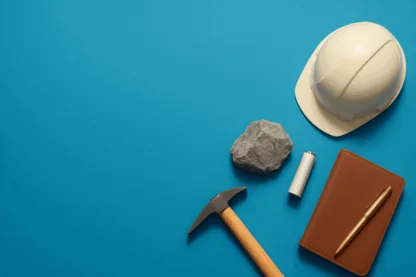 Previous Article Image