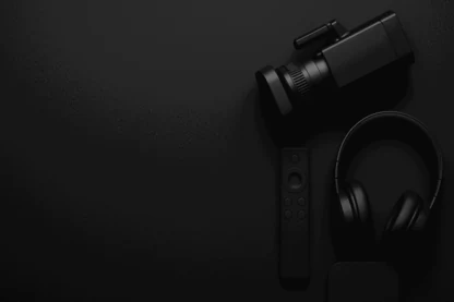 Previous Article Image