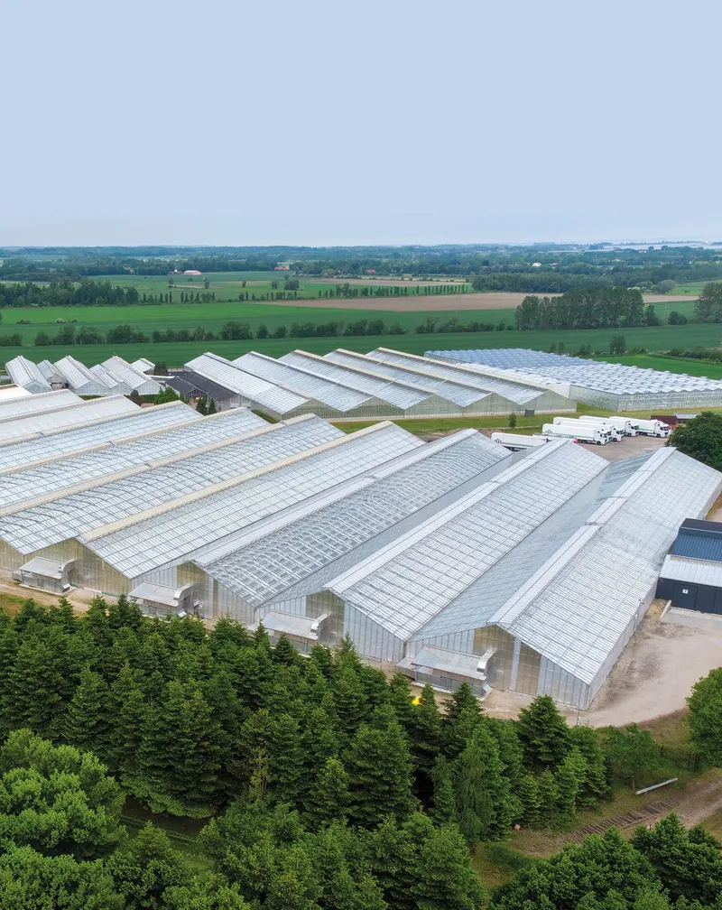 Photo from Little Green Pharma Ltd’s announcement “Quarterly Activities/Appendix 4C Cash Flow Report”