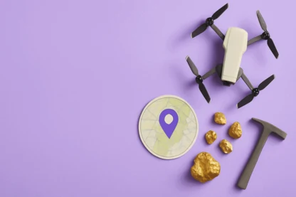 Previous Article Image