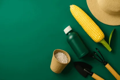 RLF AgTech Taps NRI’s 152-Store Network to Accelerate Australian Growth