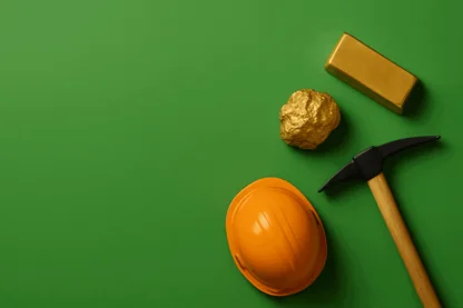 Previous Article Image