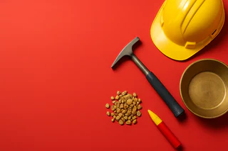 Bubalus Resources Launches Maiden Drilling at Avon Plains Gold Project
