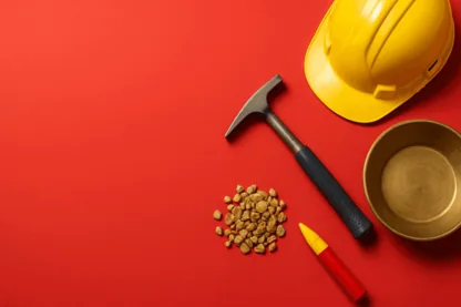 Bubalus Resources Launches Maiden Drilling at Avon Plains Gold Project