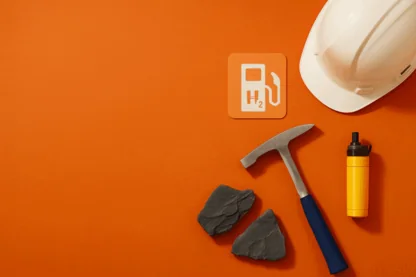 Previous Article Image