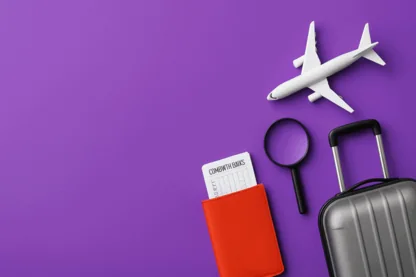 Previous Article Image