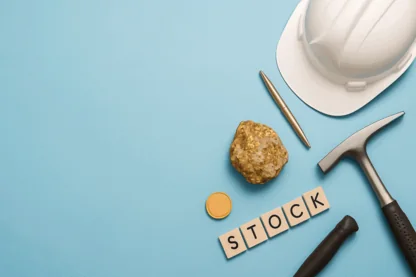 Previous Article Image