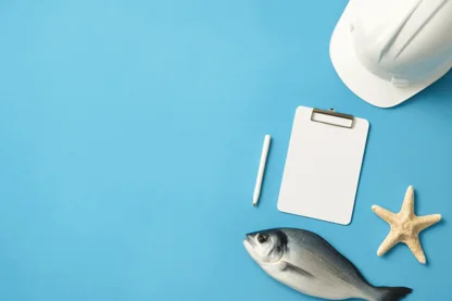 Previous Article Image