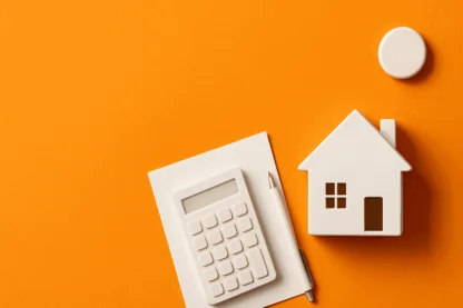 Previous Article Image