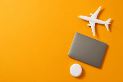 Previous Article Image