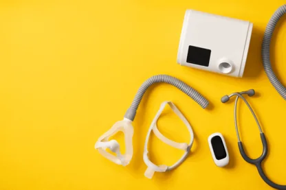 Previous Article Image