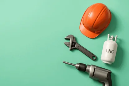 Previous Article Image