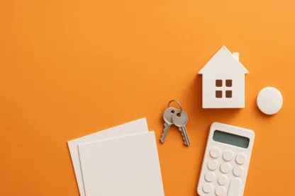 Previous Article Image