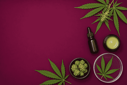 Federal Court Greenlights Little Green Pharma's Cannatrek Takeover