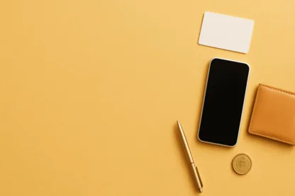 Previous Article Image