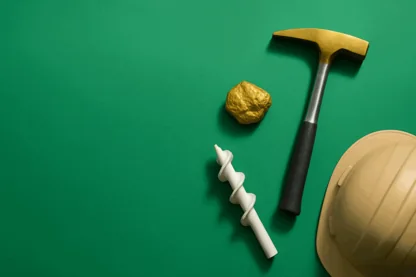 Previous Article Image