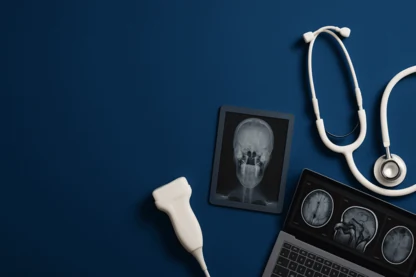 Previous Article Image