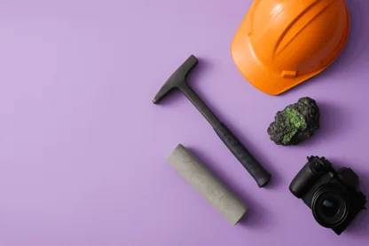 Previous Article Image