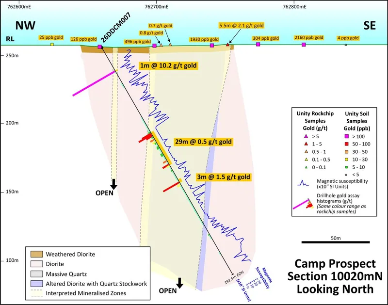 Drilling Cross Section 10,020mN with hole 26DDCM007 at Camp Prospect with gold intersections, magnetic susceptibility readings and a geological interpretation