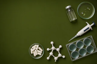 Immuron Reports 6% Revenue Growth and FDA Nod Amid Strategic Reset