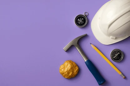 Previous Article Image