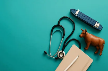 Previous Article Image