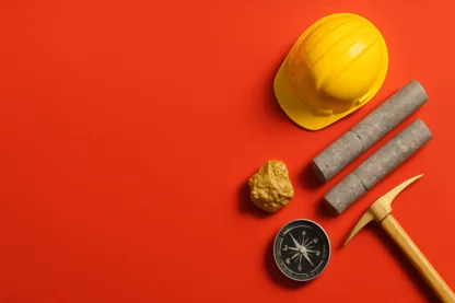 Previous Article Image