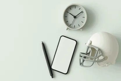 Previous Article Image