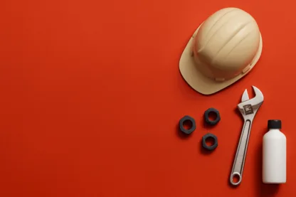 Previous Article Image