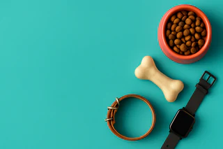 Mad Paws Advances Acquisition Talks Amid Revenue Growth and Strategic Shifts