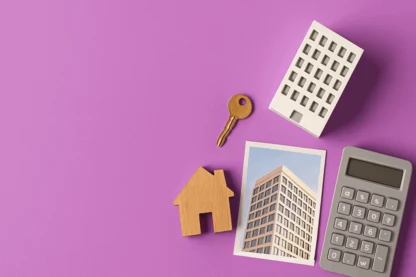 Previous Article Image