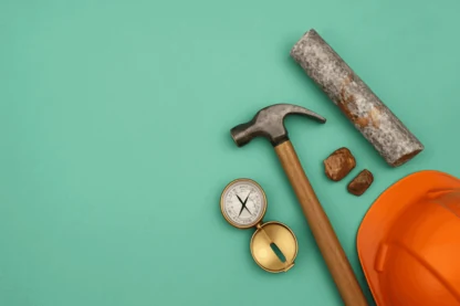 Previous Article Image