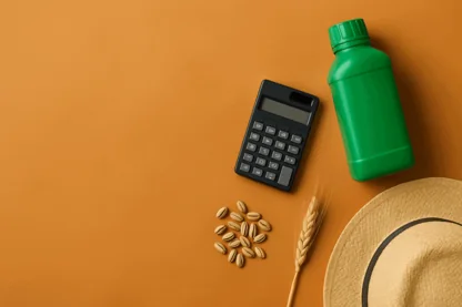 Previous Article Image