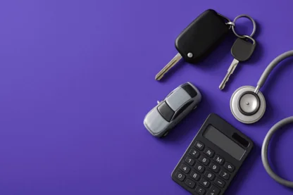 Previous Article Image