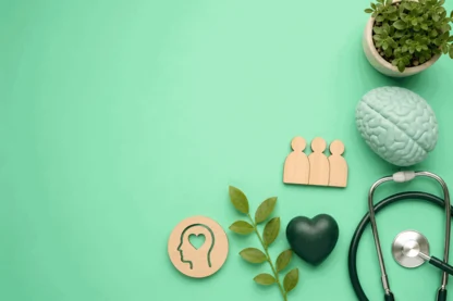 Previous Article Image