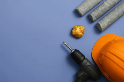 Previous Article Image