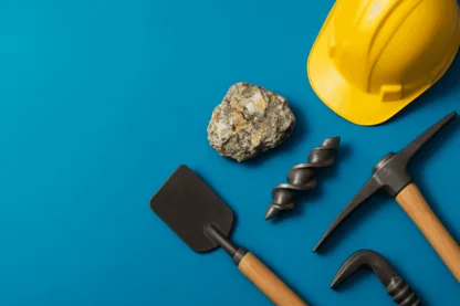 Previous Article Image