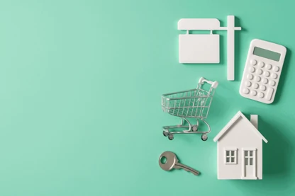 Previous Article Image