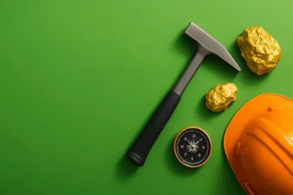 Previous Article Image