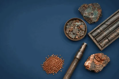 Previous Article Image