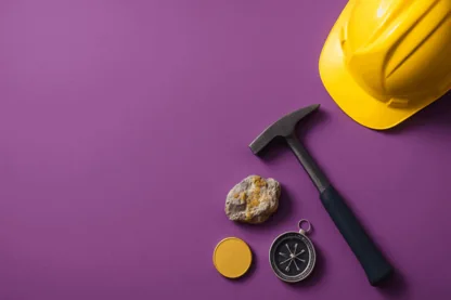 Previous Article Image